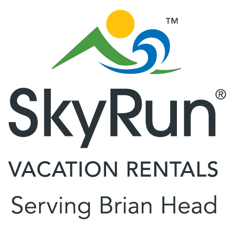 Skyrun Logo